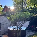 Waxenstein