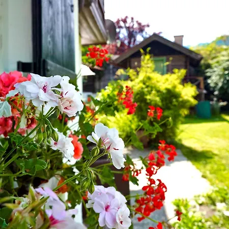 Ferienhaus Waxenstein
